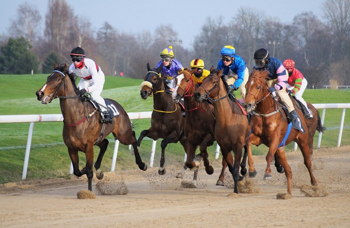 top-10-des-plus-belles-races-de-chevaux-au-monde-ils-sont-tous